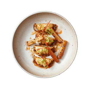 Chicken Gyoza and daikon