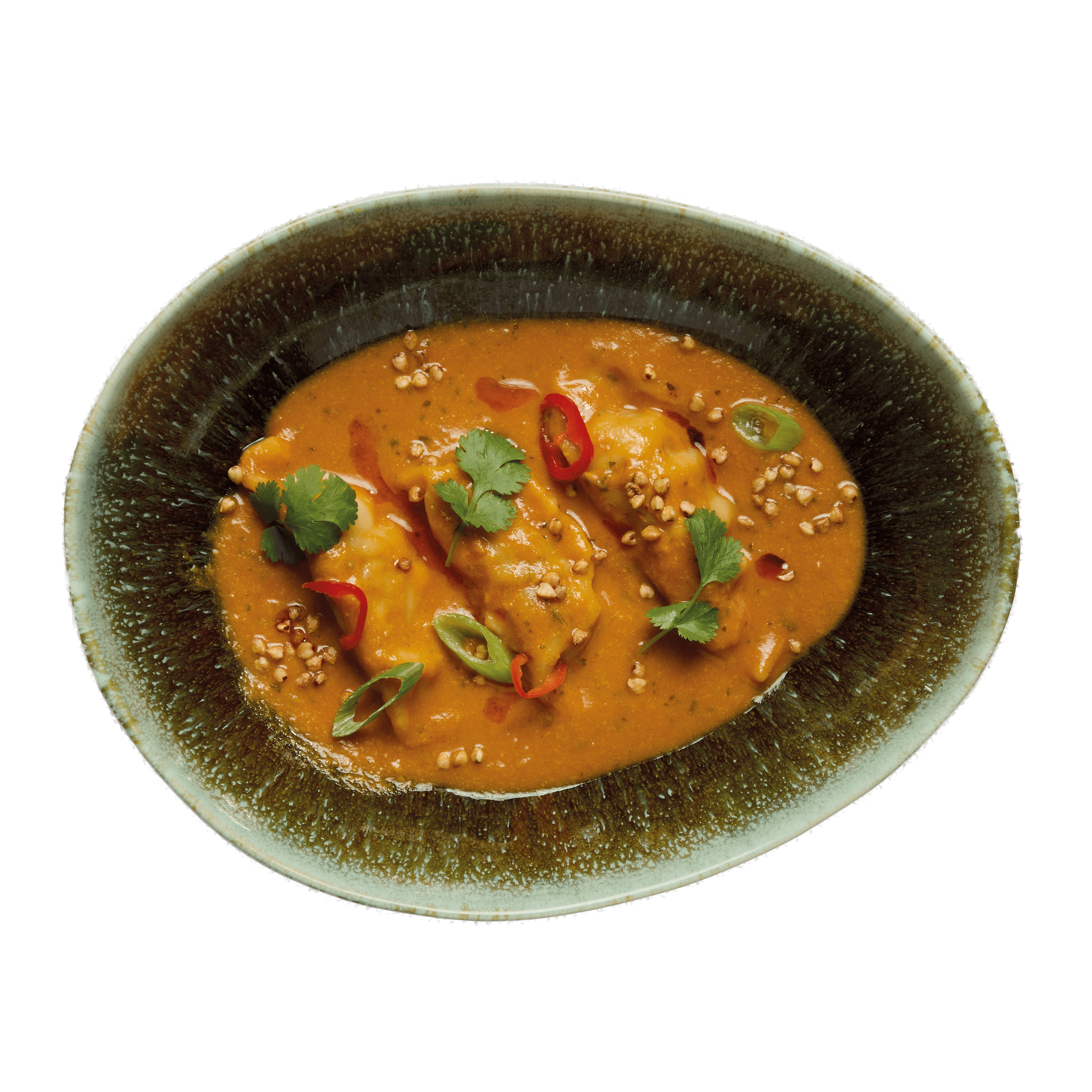 Dumpling soup